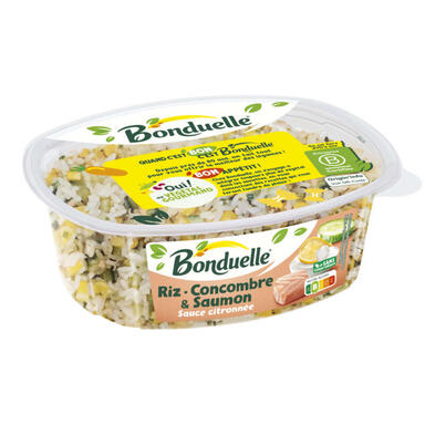 RIZ CONCOMBRE SAUMON 280G